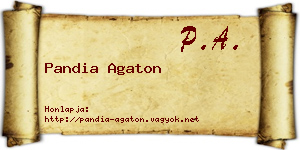 Pandia Agaton névjegykártya